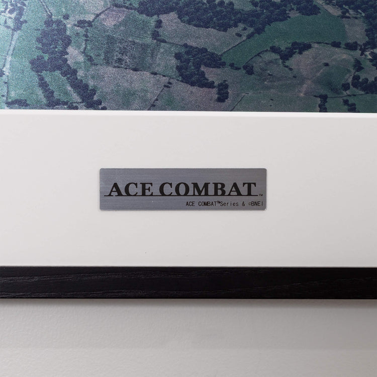 【ACE COMBAT】 Echelon Formation Metal Canvas Art
