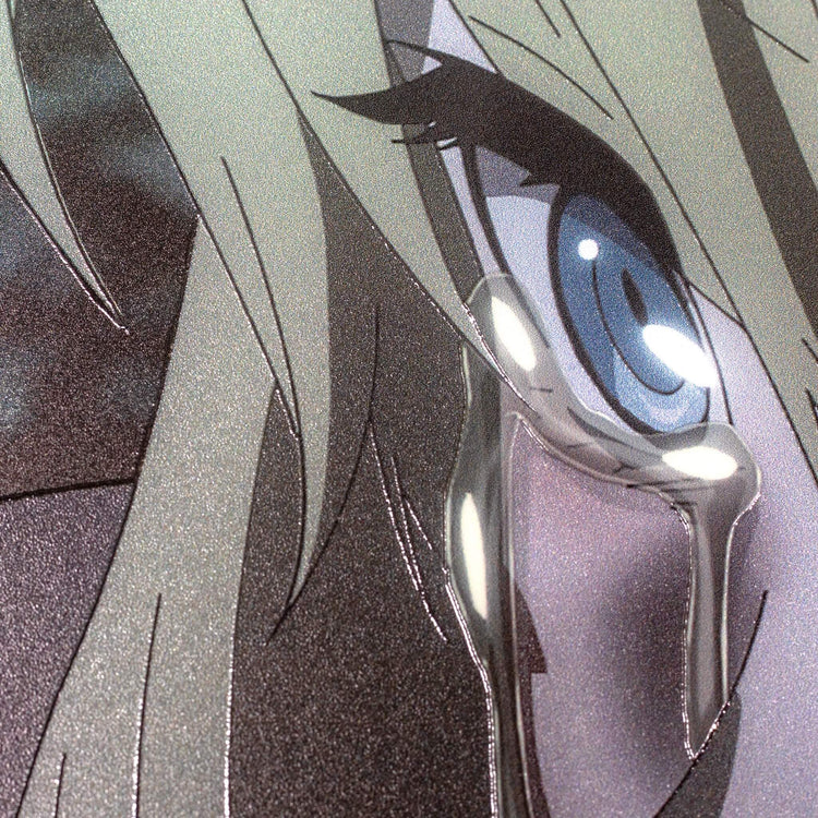 アニメ10周年記念メタルキャンバスアート - 第4期