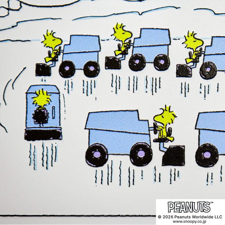 Circle the Zambonis!