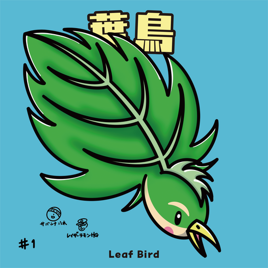 葉鳥(ハチョウ)