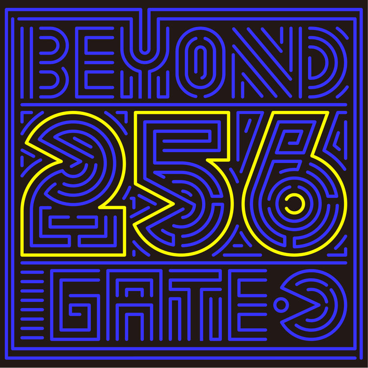 BEYOND 256-GATE.