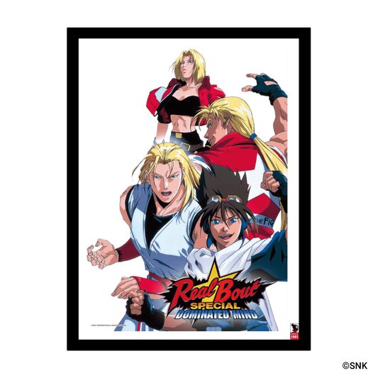 リアルバウト餓狼伝説スペシャル DOMINATED MIND