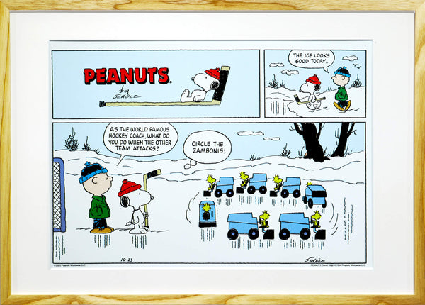 Circle the Zambonis！
