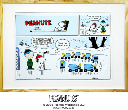 Circle the Zambonis!