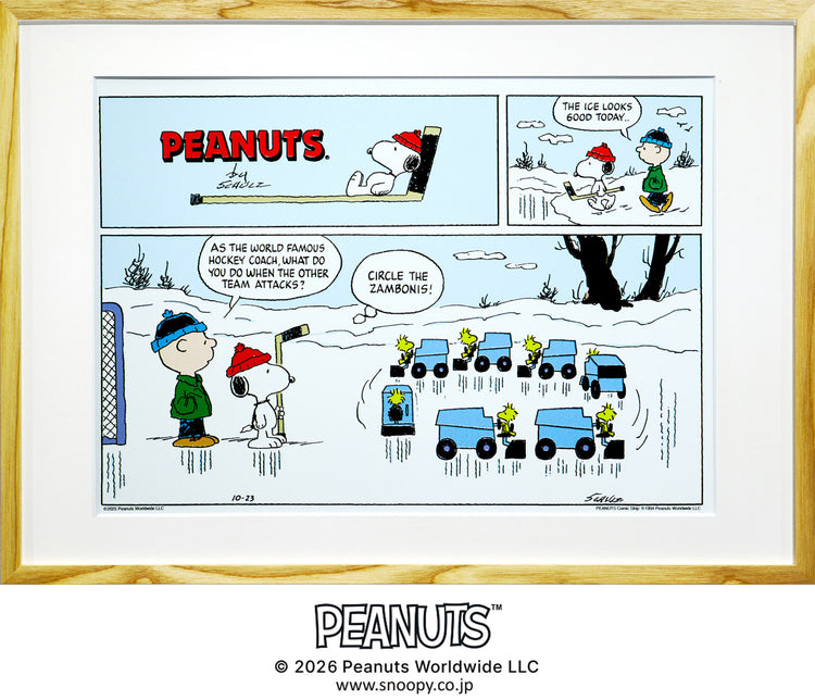 Circle the Zambonis！