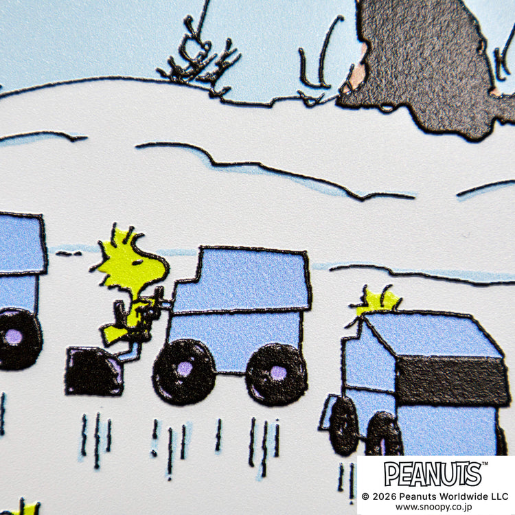 Circle the Zambonis！