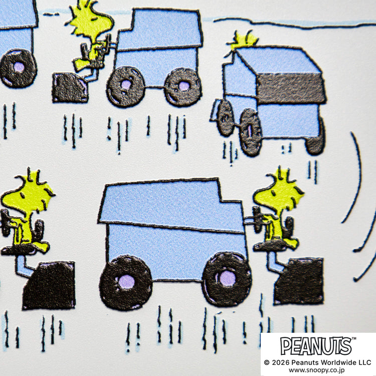 Circle the Zambonis！