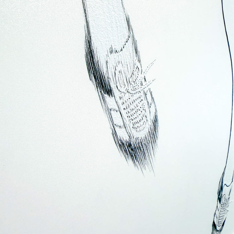 No.008 Tsubasa Overhead Kick