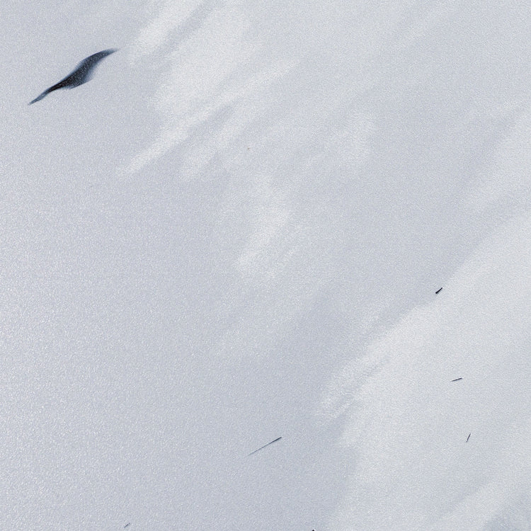 生きるために。